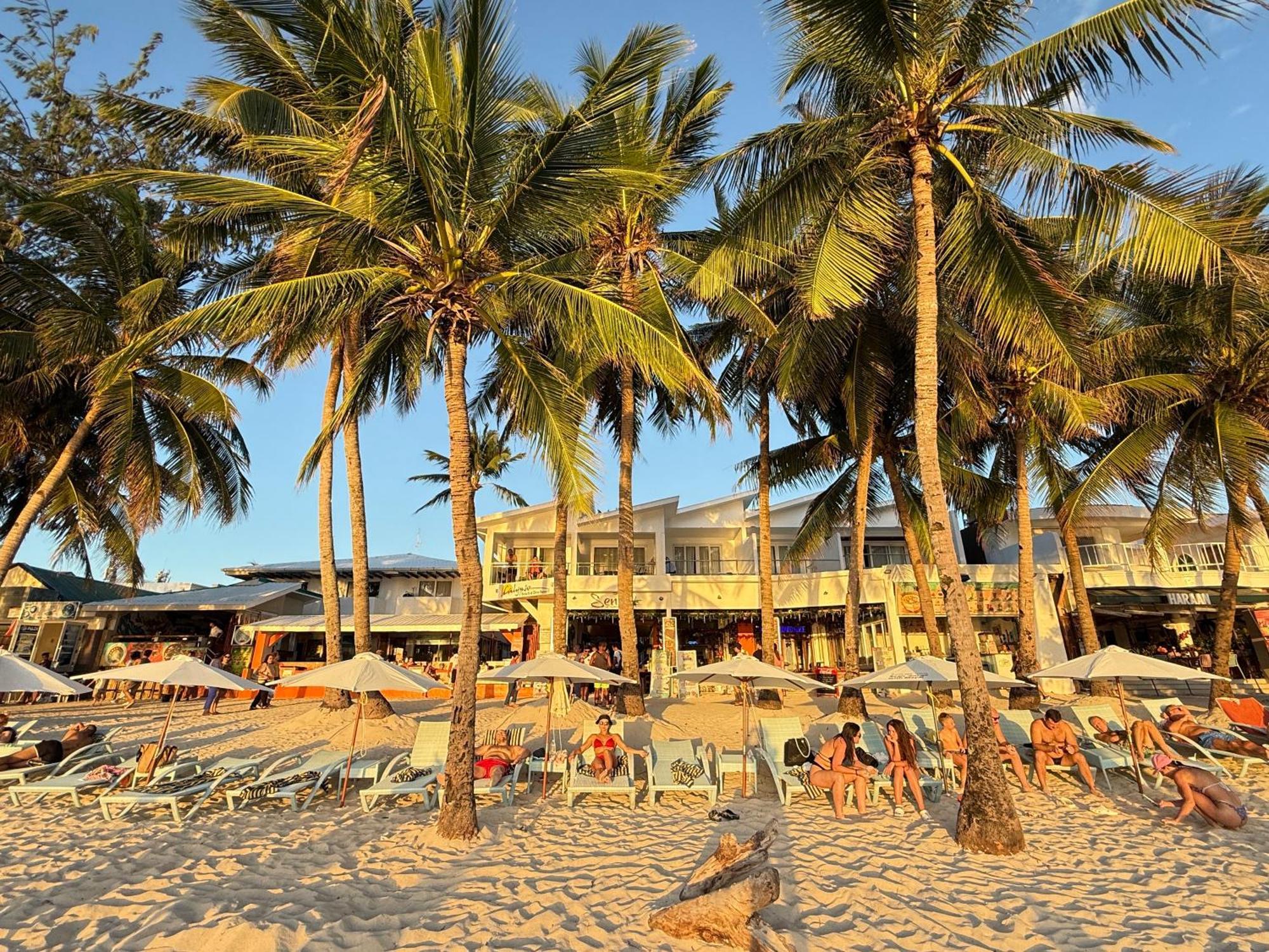 Calypso Beach And Dive Resort Manoc-Manoc Exterior photo